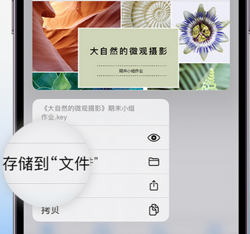 监利apple维修中心分享iPhone文件应用中存储和找到下载文件