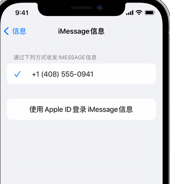 监利apple维修iPhone上无法正常发送iMessage信息 