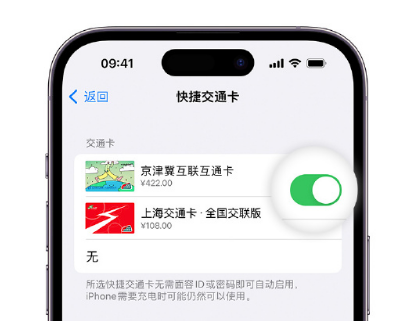 监利apple维修点分享iPhone上更换Apple Pay快捷交通卡手绘卡面 