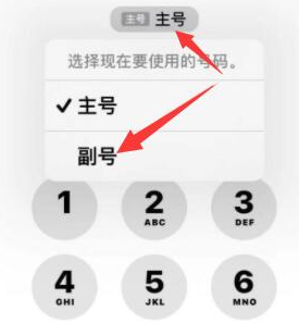 监利苹果14维修店分享iPhone 14 Pro Max使用副卡打电话的方法 