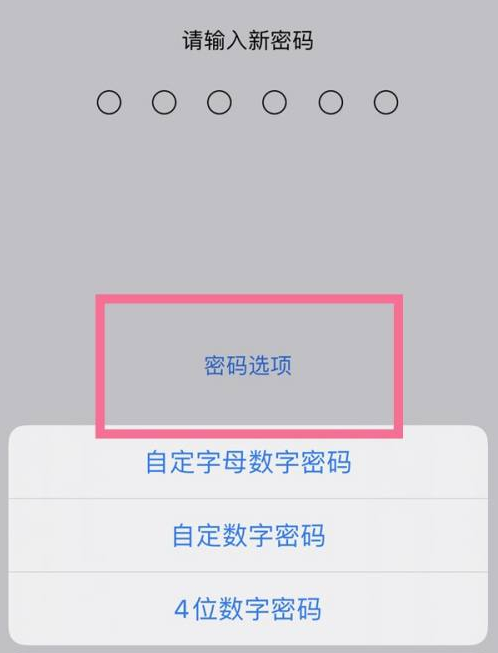 监利苹果14维修分享iPhone 14plus设置密码的方法 