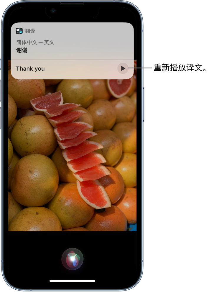 监利苹果14维修分享 iPhone 14 机型中使用 Siri：了解 Siri 能帮你做什么 