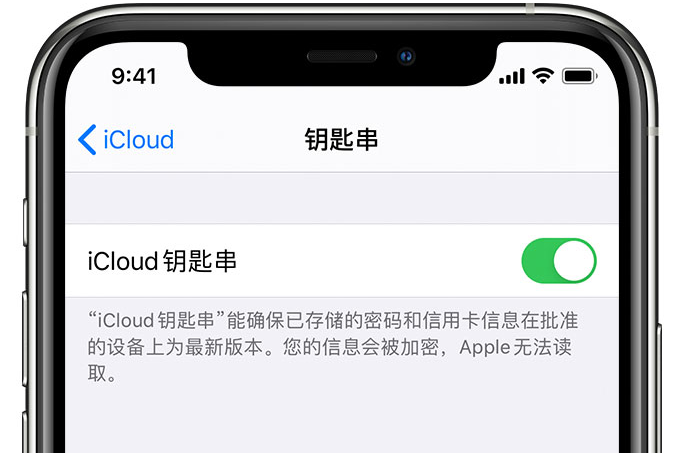 监利苹果手机维修分享在 iPhone 上开启 iCloud 钥匙串之后会储存哪些信息 