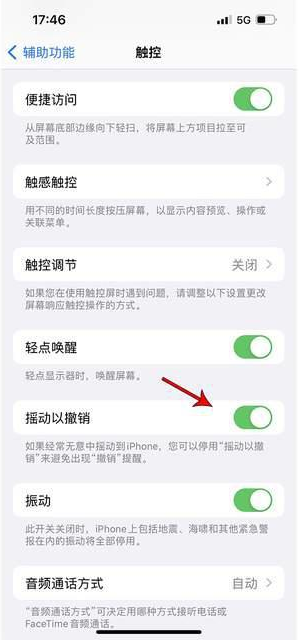 监利苹果手机维修分享iPhone手机如何设置摇一摇删除文字 